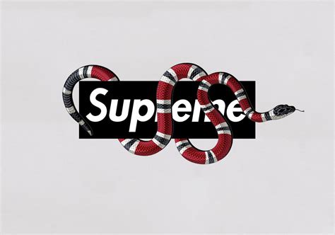 is supreme gucci